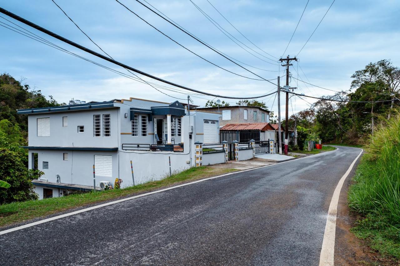 Green Studio 1 - Just 7 Min Drive To The Beach Rincon Exterior photo